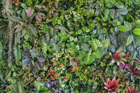 plant wall, green plant decoration on the wall and make it look fresh and beautiful. Decorate the garden with fake plants on the wall of the house for Nature background of green forestの写真素材