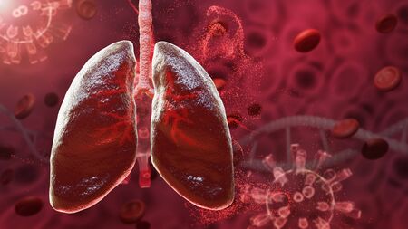 Red lung respiratory human sars outbreak,microbe, sars virus pandemic in lung, 3d renderingの写真素材