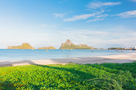 Beauty in nature with sea beach and blue sky.