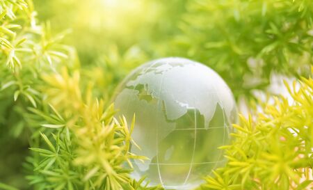World environment concept, Ecology earth environmental, Transparent crystal globe and green nature forest background, Help world conceptの写真素材