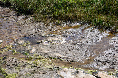 Polluted water on the beachの写真素材