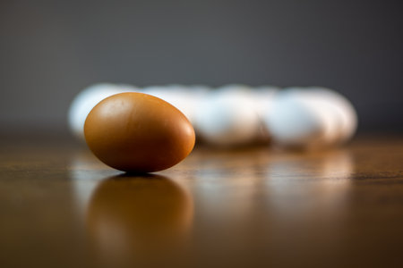 One brown chicken egg on a wooden table with white eggs as a diffused backgroundの写真素材