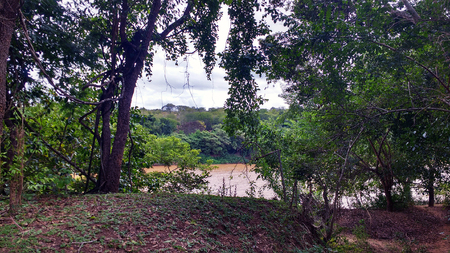 River with trees and lots of vegetationの写真素材