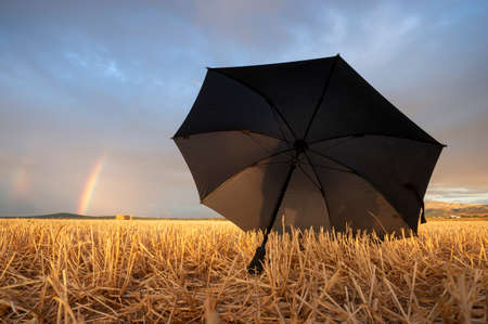 open black umbrella in a field of mown straw and with rainbowsの写真素材