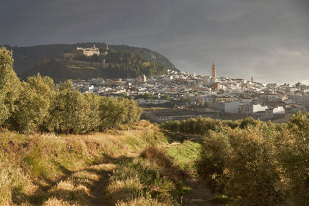 views from an olive grove of the city of Estepa. Andalusia, Spain