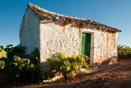 vineyards and rural country house in Mollina, MÃ¡laga. Andalusia, Spainの写真素材