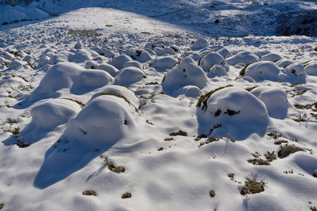 Snow sphere shapes in the Sierra de las Nieves national park in Malaga. Andalusia. Spainの写真素材