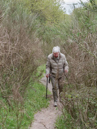 Woman is hiking on a trail surrounded by high bushesの写真素材