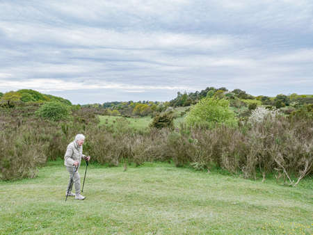 Woman in a natural park in Denmark is hiking with hiking sticksの写真素材