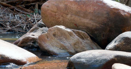 Close up on rocks in the river Rio Vermelho in Brazil, close to City of Goias in the state of Goiasの写真素材