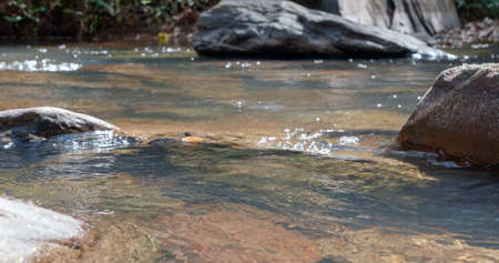 Close up shoot of the river Rio Vermelho in the state of Goias in Brazilの写真素材