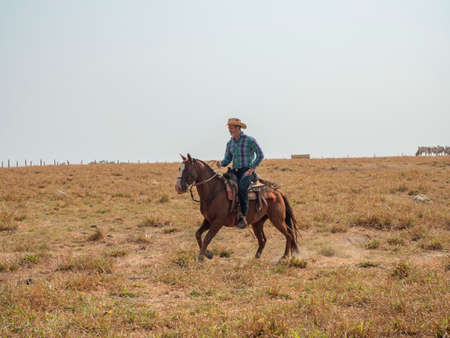 Cowboy is riding his horse on a cattle farm with dry landの写真素材