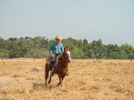 Cowboy is riding his horse on a cattle farm with dry landの写真素材