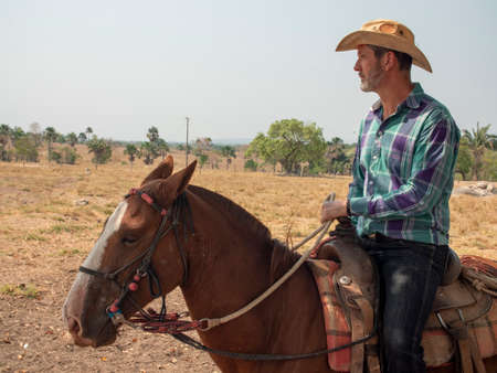 Cowboy is riding his horse on a cattle farm with dry landの写真素材