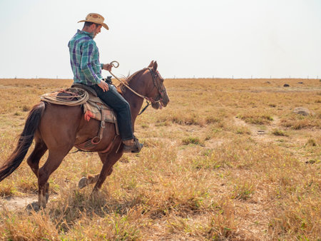 Cowboy is riding his horse on a cattle farm with dry landの写真素材