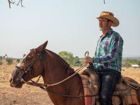 Cowboy is riding his horse on a cattle farm with dry landの写真素材