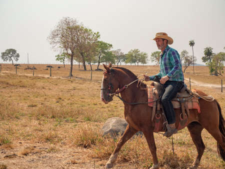 Cowboy is riding his horse on a cattle farm with dry landの写真素材