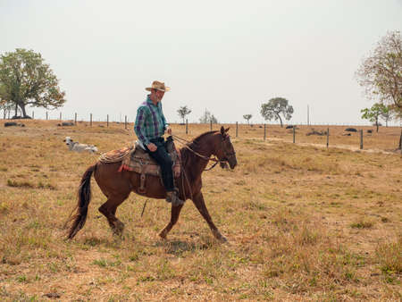 Cowboy is riding his horse on a cattle farm with dry landの写真素材