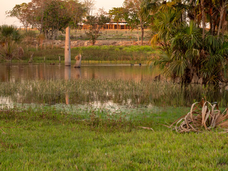Sunset around the pond on a farm in rural Brazilの写真素材