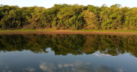 Areal view over part of a lake on the Brazilian Cerrado in the state of Goiasの写真素材