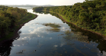 Areal view over part of a lake on the Brazilian Cerrado in the state of Goiasの写真素材