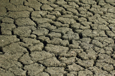Cracked soil 