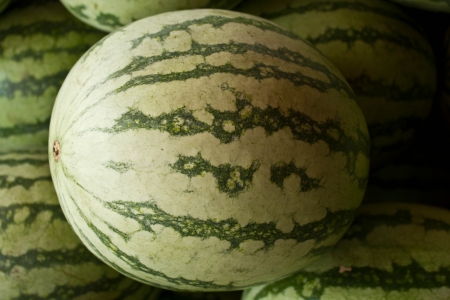 Watermelonsの写真素材