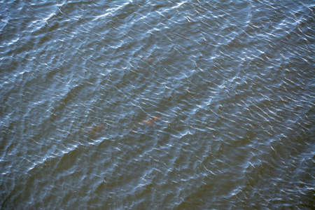 Waves on the waterの写真素材