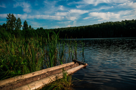 Picturesque forest and the river. Nature backgroundの写真素材