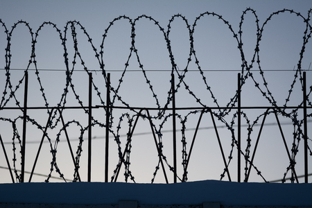 Barbed wire on dark fence. Color silhouette photoの写真素材