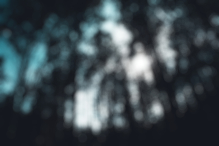 Abstract blurred  background. Mystic forest, sun rays entering trough the fog in the morningの写真素材