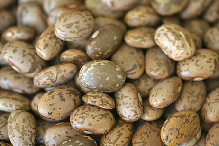 beans