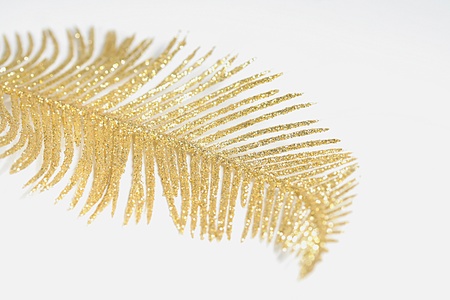 Gold leafの写真素材