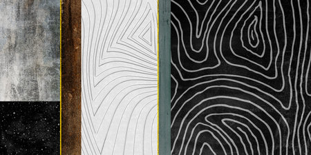 abstract black and white background with stripes and lines. 3d renderingの写真素材