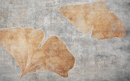 Ginkgo leaves on grunge background. Ginkgo leavesの写真素材