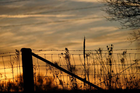 Sunset through metal fenceの写真素材