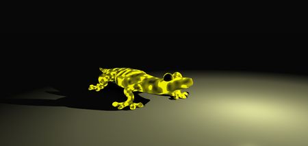 geckoの写真素材