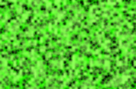 green cellular textureの写真素材