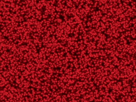 red cellular textureの写真素材