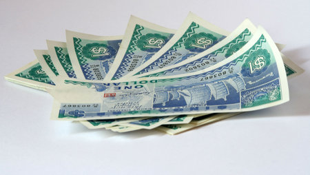 Sinagpore Dollar Notes