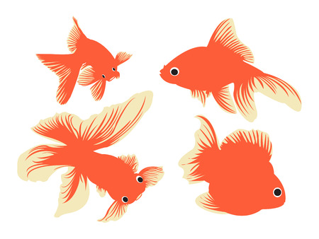 Simple outlines of gold fish.のイラスト素材