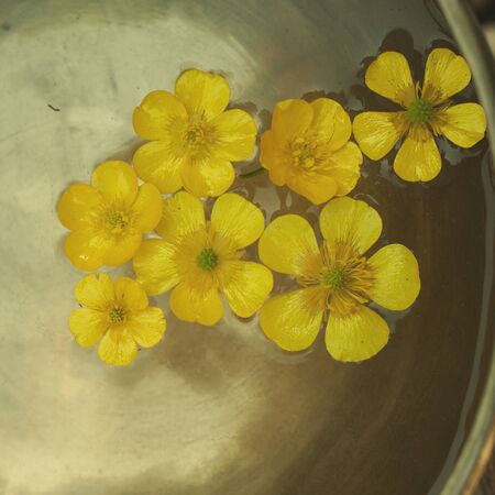 Yellow flowers floating on a tibetan bowlの写真素材