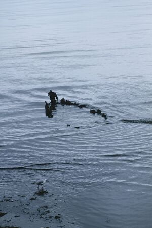 Old sunken boatの写真素材