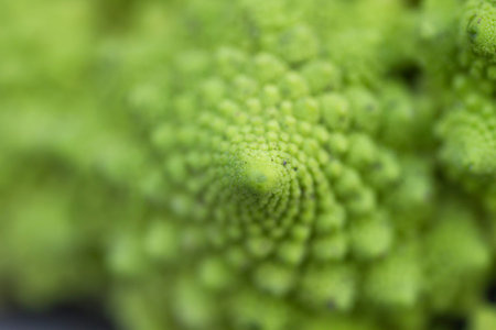 Romanesco broccoli geometric pattern close up