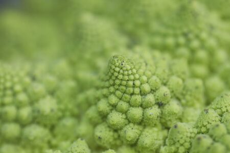 Romanesco broccoli geometric pattern close upの写真素材