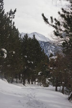 Winter landscape in Andorra mountainsの写真素材