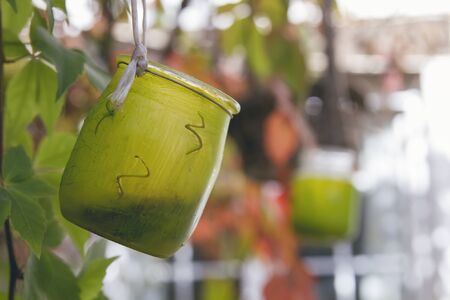 Green painted recycled glass jar as garden lampの写真素材
