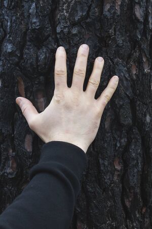 Man hand on burned tree trunk after a wildfireの写真素材