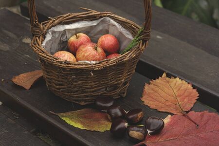 Autumn goods in the garden tableの写真素材