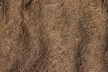 Coconut fiber ecologic fabric textureの写真素材